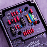 Vitamin C "Pumpkin Orange Ver."